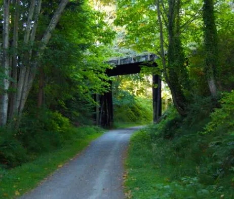 Photograph of a "Moderate Forest Trail"