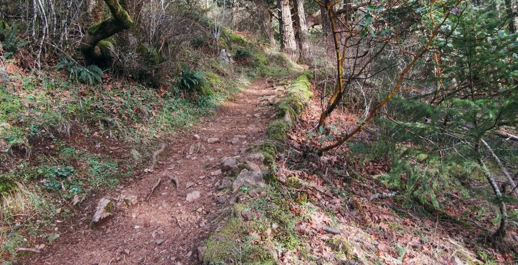 Photograph of a "Wilderness Trail"