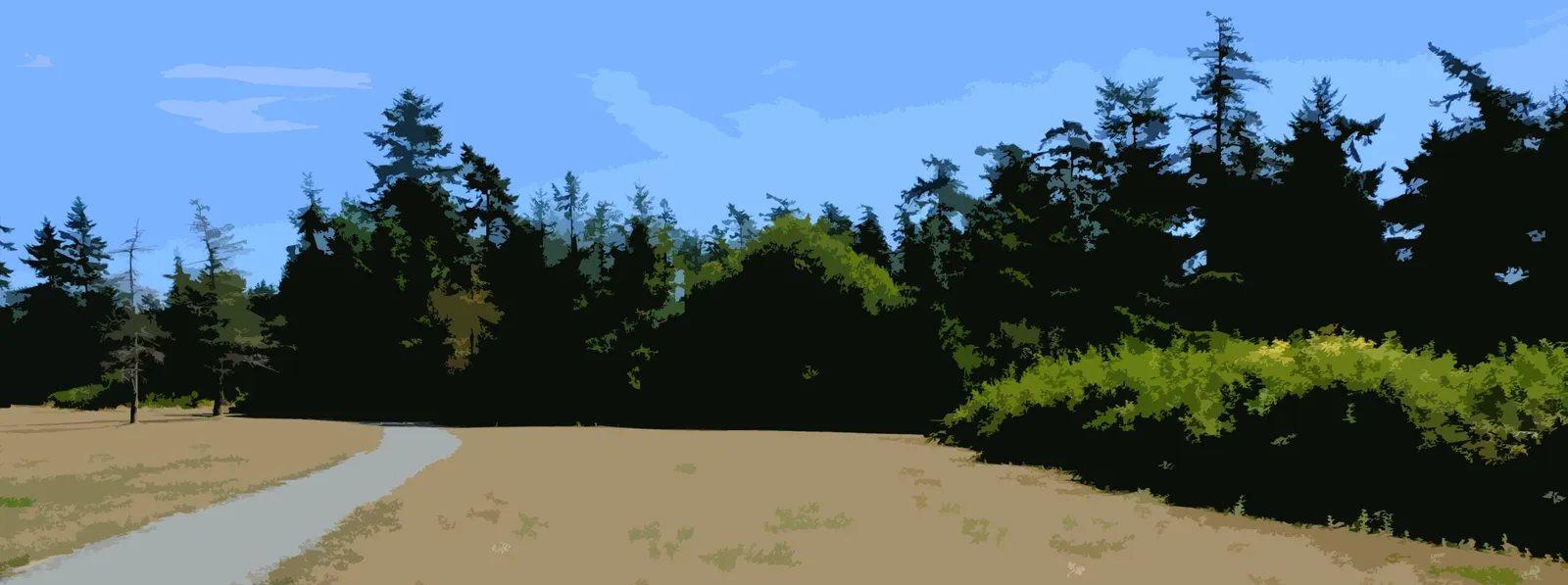 illustration of a paved path winding through an open field towards a dense forest