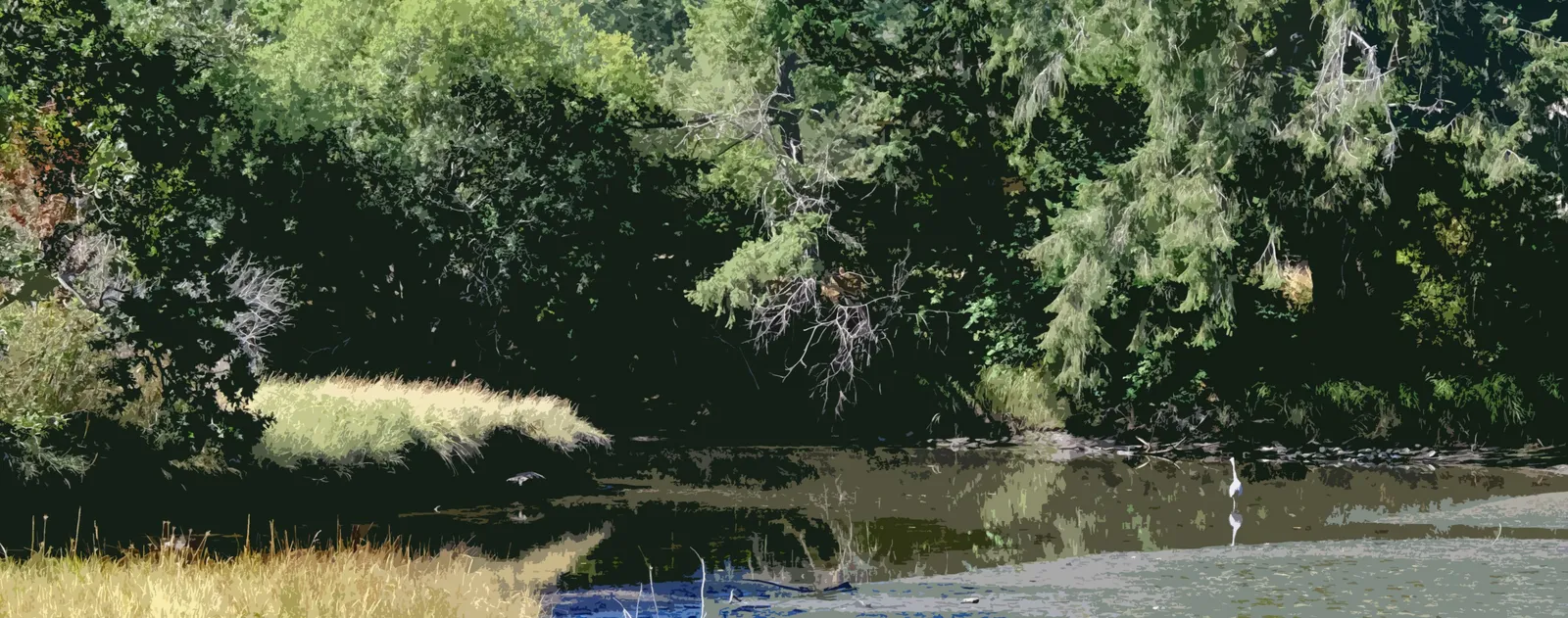 illustration of a calm river or wetland area with lush green trees and a white heron standing in the shallow water