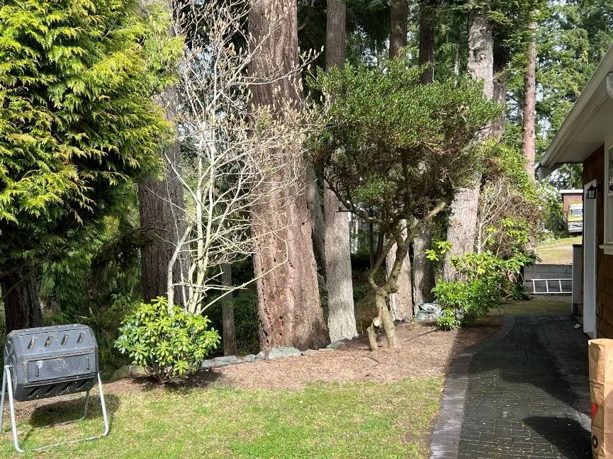 Photograph of the northeast portion of the rear yard