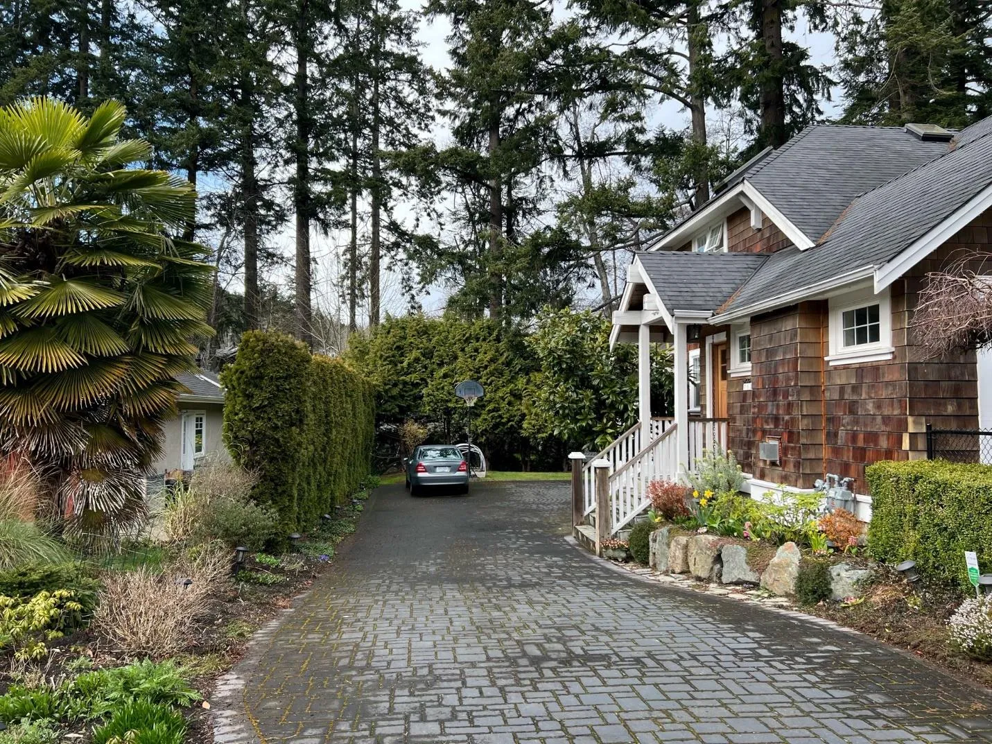 Annotated photograph of the front yard identifying hedges to be retained and removed