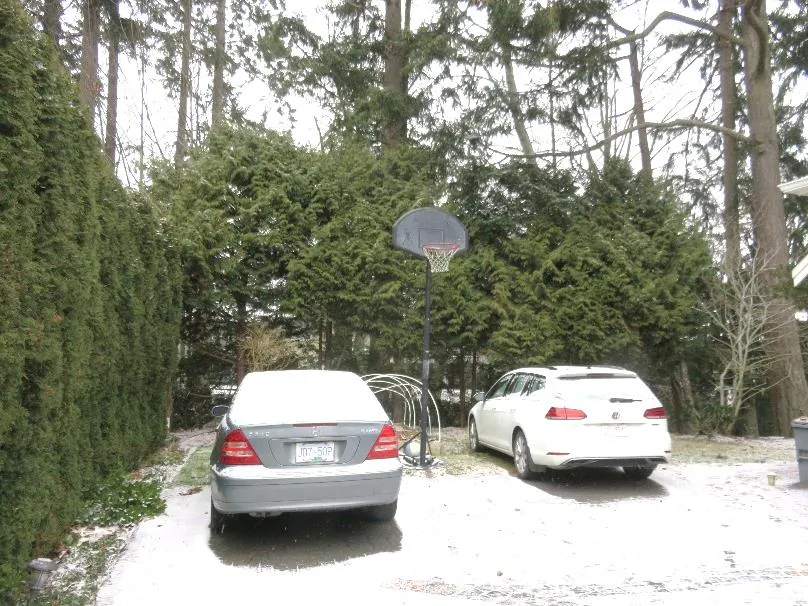 Trees #3 - #6 & H1 - overview of the tree group and roofline