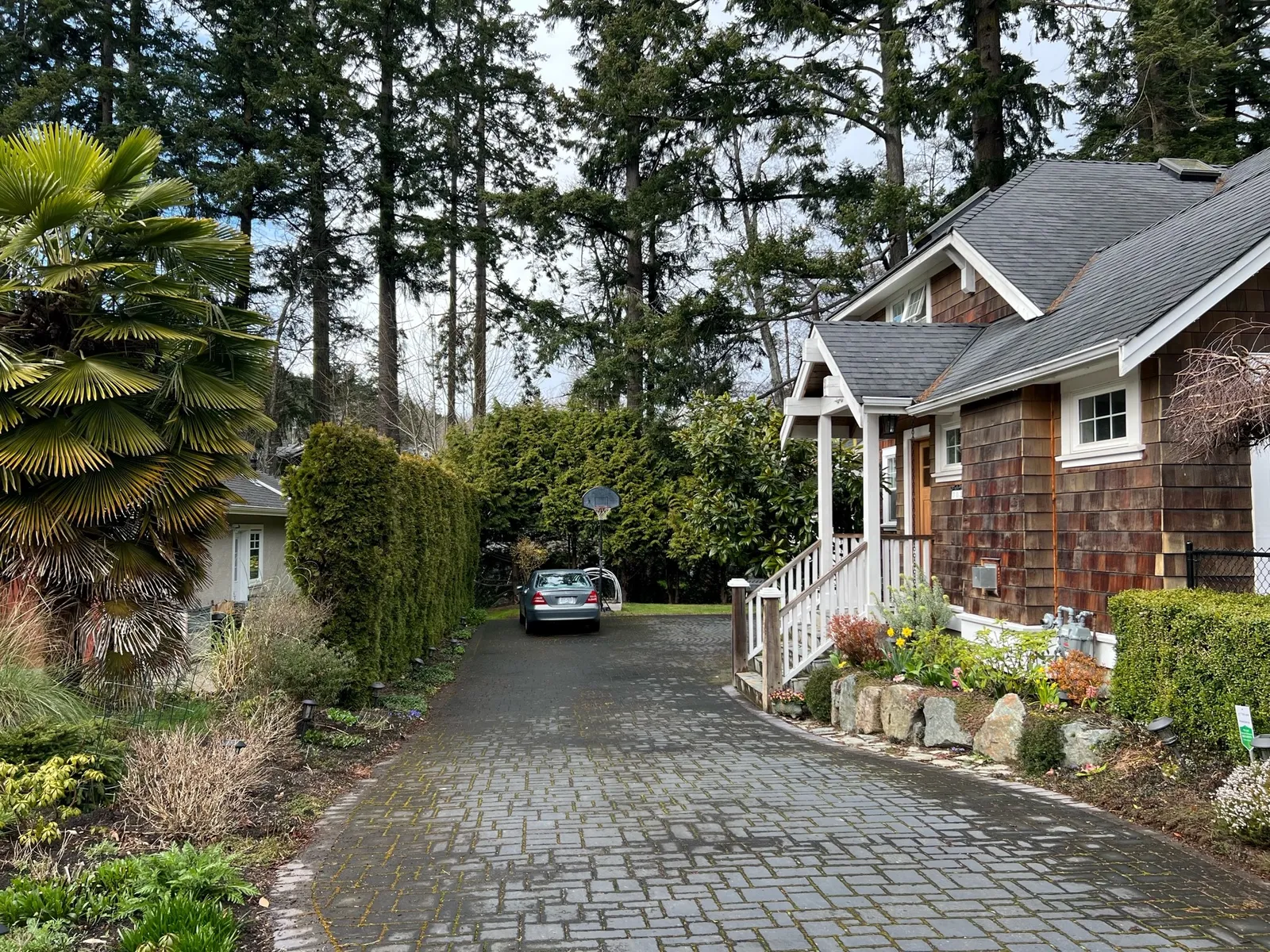 A paved driveway leading to a cedar-shingled house with a parked silver car and a basketball hoop, surrounded by tall evergreen trees and landscaping