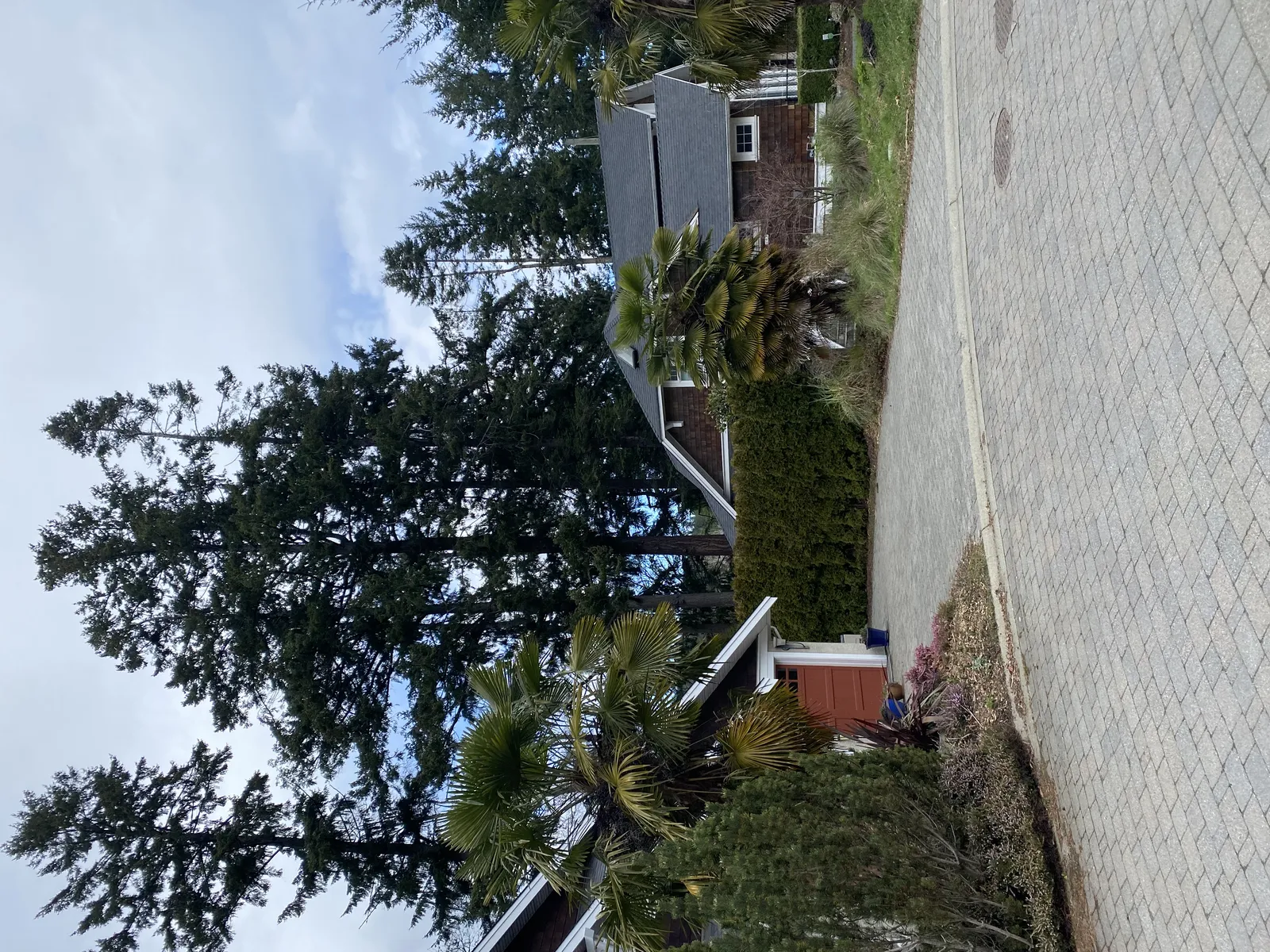 A view from a paved cul-de-sac or driveway showing cedar-shingled residential buildings, palm trees, and tall evergreens under a cloudy sky