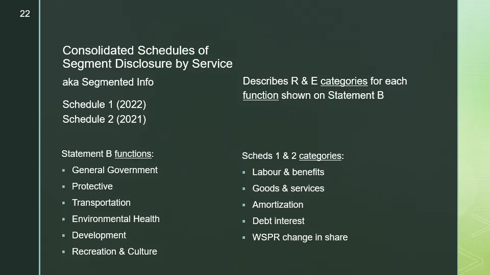 Slide overview of the Segment Disclosure Schedules