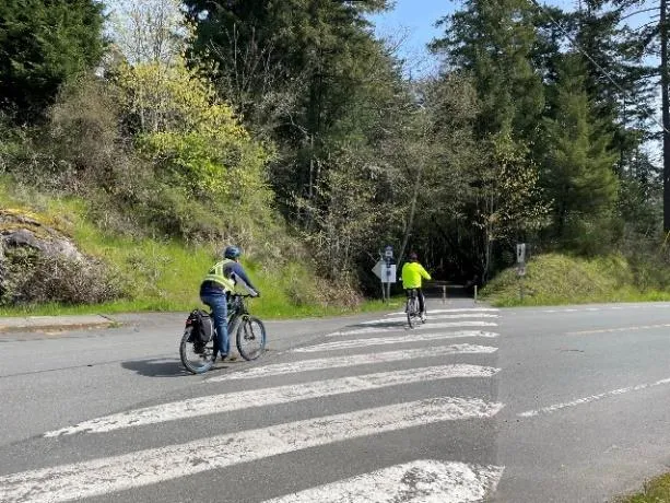 Icons for pedestrians and wheelchair users