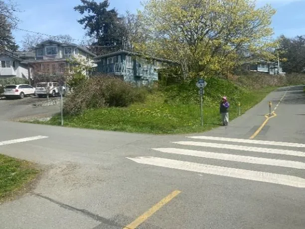 Icons for pedestrians, wheelchair users, and cyclists