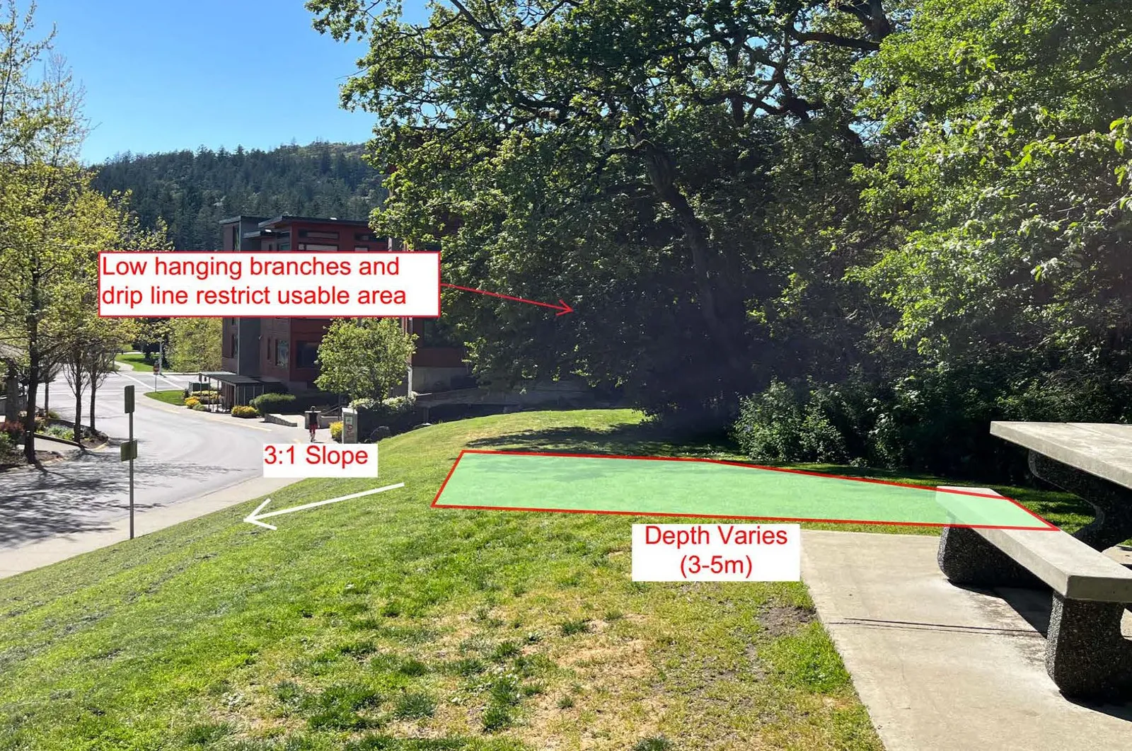 Ground level photo of the west half of the proposed area with slope and tree drip line annotations