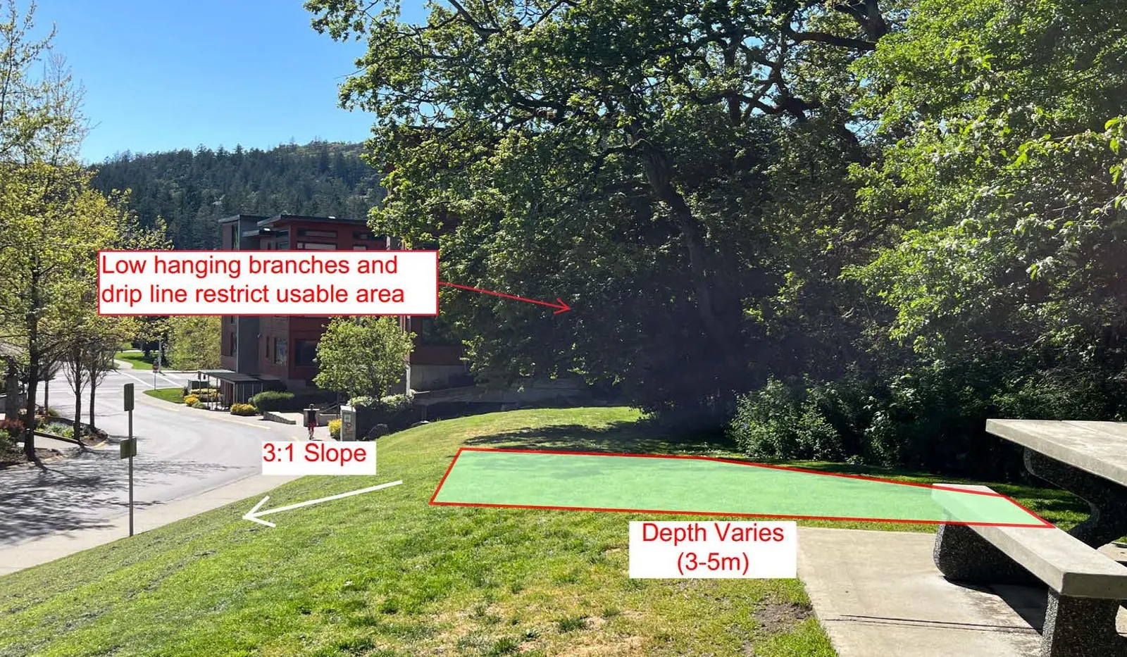 Photograph of the West Half of the site showing a 3:1 slope and varying depth of 3-5m
