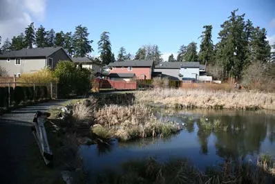 Residential homes situated near a natural wetland area