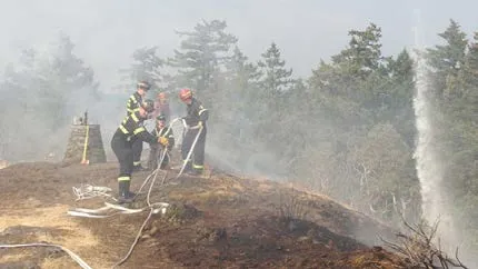 Map 6: Sensitive Ecosystem Inventory showing Riparian, Wetland, Woodland, and Older Forest areas
