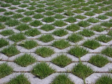 Vegetated and hard pervious ground treatments
