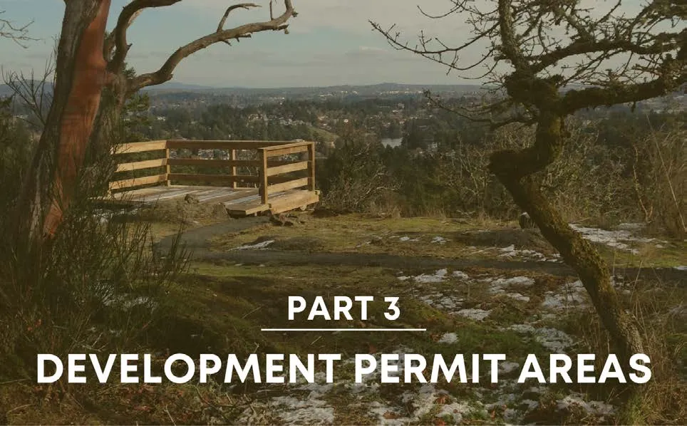 Schedule C Form & Character Development Permit Areas map