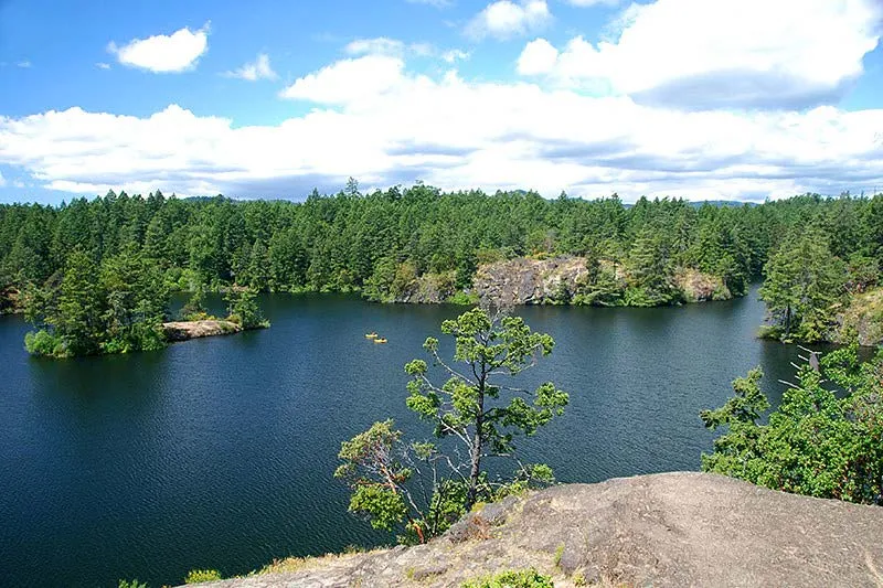 Thetis Lake Park view
