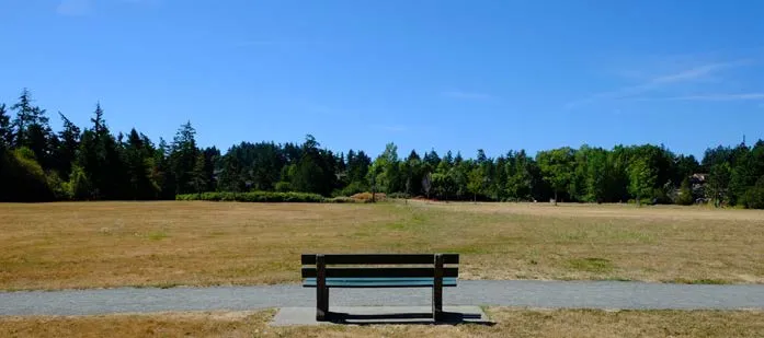 Park bench overlooking a field