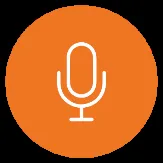 Microphone icon representing Phase 2: Initial Stakeholder & Public Engagement