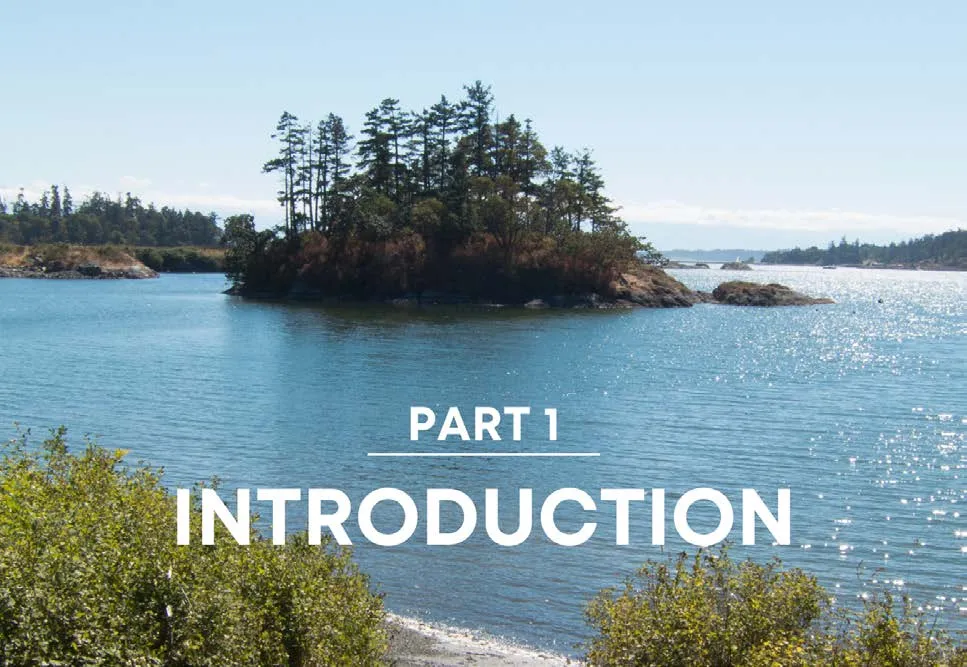 Divider page with a coastal view of a small, tree-covered island