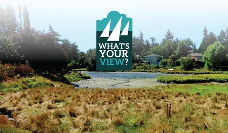 Circle graphic with 'What's Your View?' text overlaying a coastal landscape
