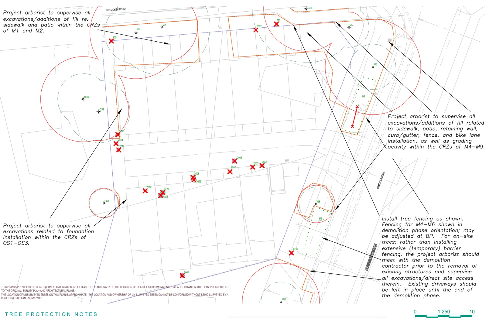 Tree protection plan showing existing trees to be retained or removed and critical root zones
