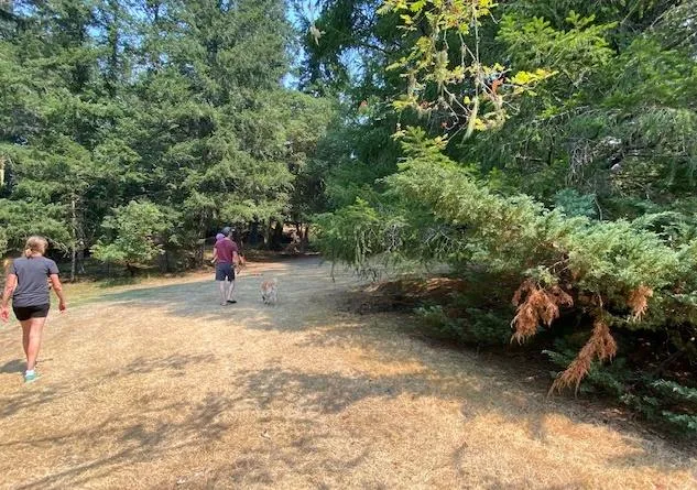 People walking through a dry, forested area on the property