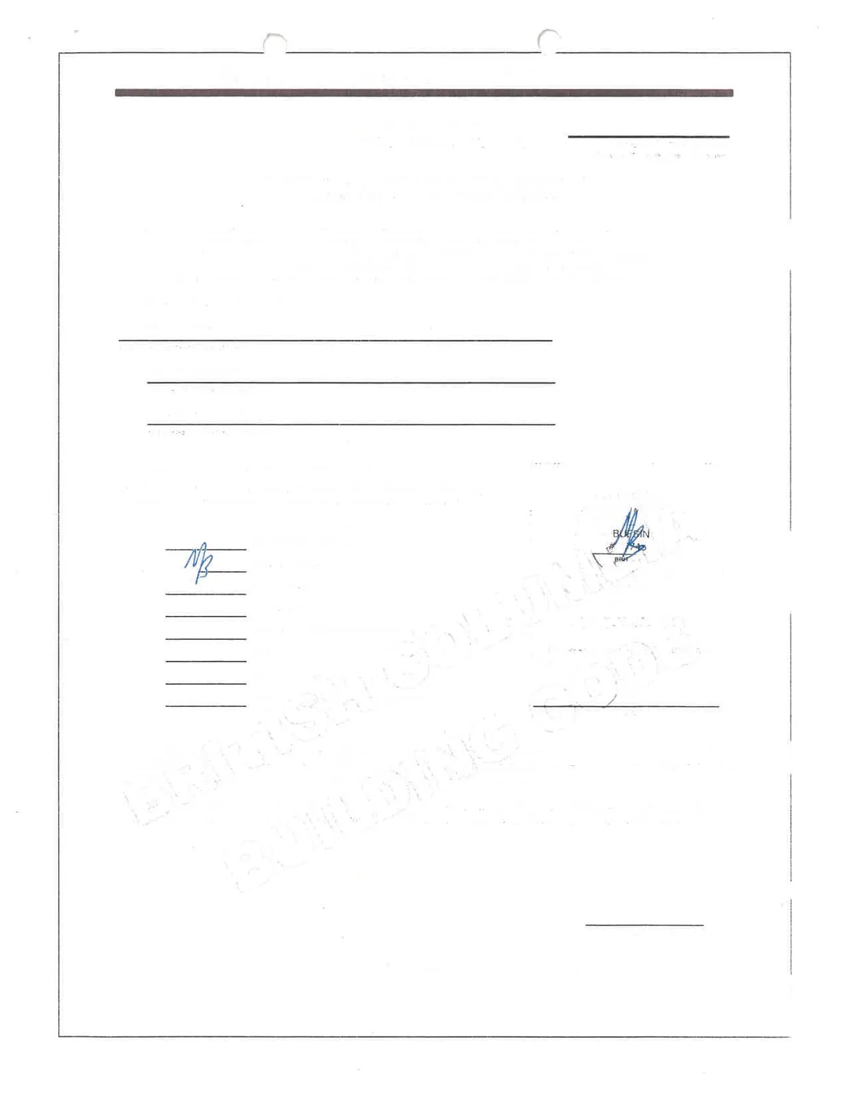 Document image