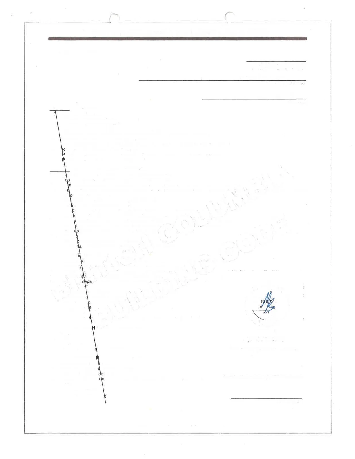 Document image