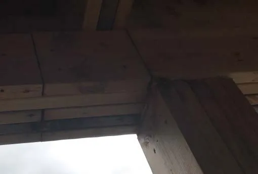Side view of wooden slat exterior wall on a concrete foundation