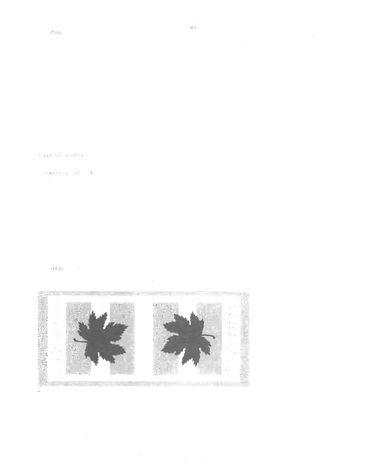 Commemorative crosswalk design template featuring maple leaves and text in English and French honoring those who served.