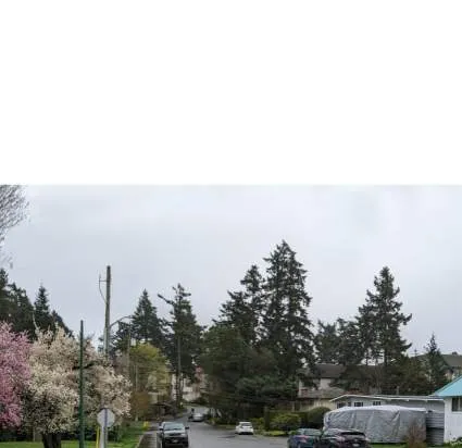 Detailed site survey plan prepared by BC Land Surveyors, dated June 1, 2023, showing property boundaries, elevations, and existing site features.