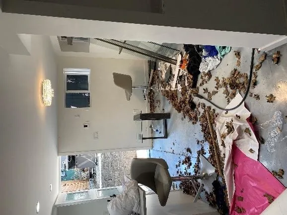 Disorderly entrance room with fallen leaves