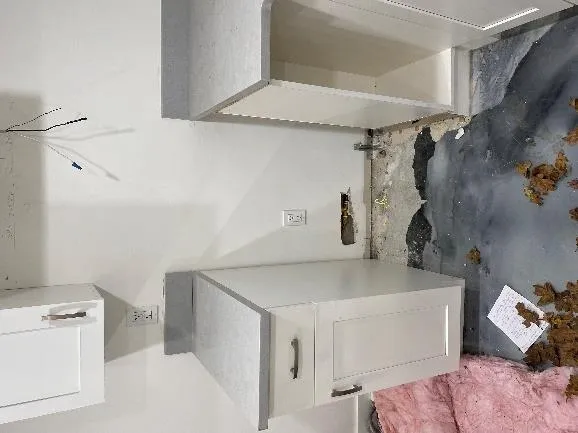 Removed kitchen stove, range hood, and sink