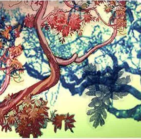 Mural design for the North West Side depicting a west coast rainforest