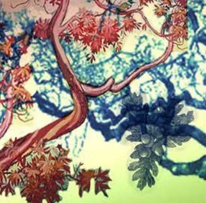 Rendering of Jean Bradbury mural design