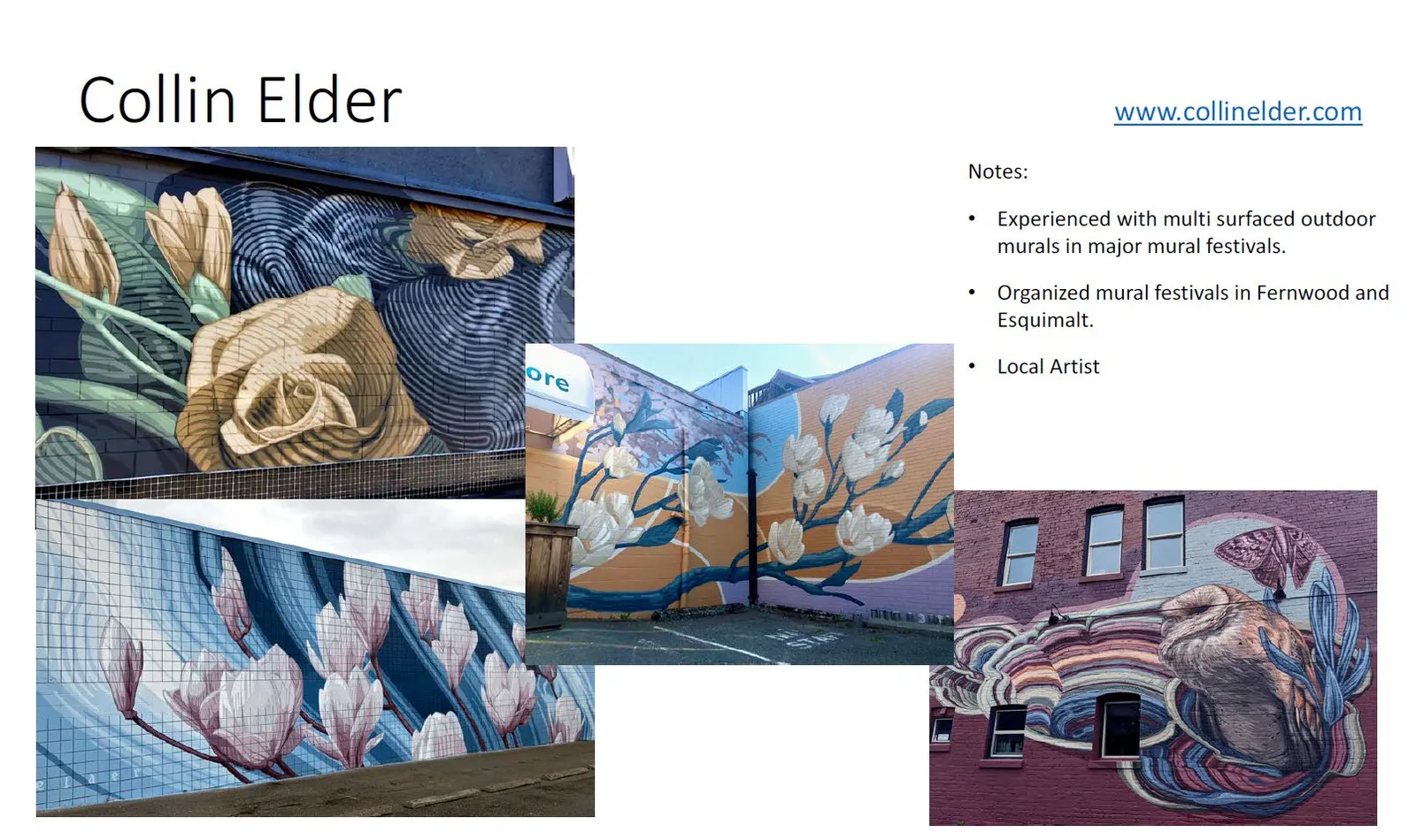 Portfolio of previous outdoor mural projects by Collin Elder