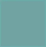 Protecting existing rentals category icon