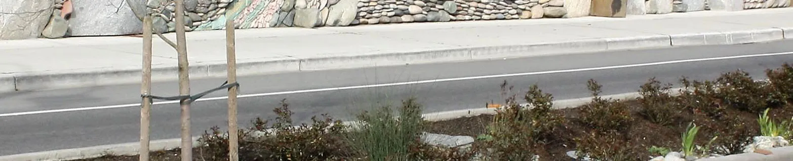 Section of the stone wall mosaic on Island Highway