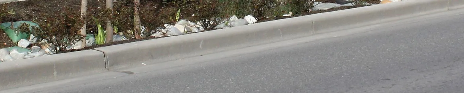 Section of the stone wall mosaic on Island Highway