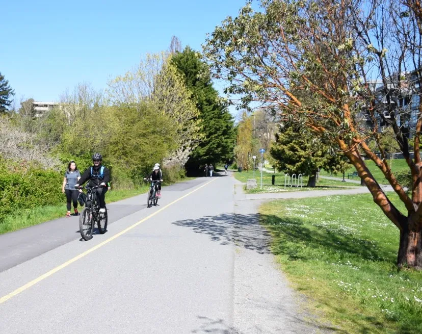 People on bicycles and walking on a paved multi-use trail lined with trees and greenery