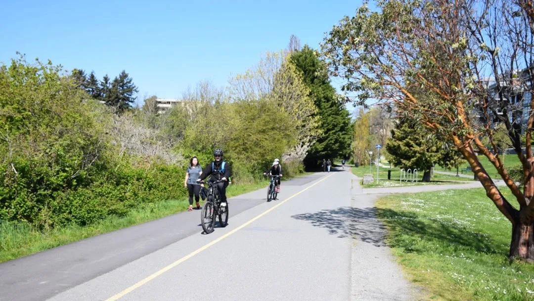 Panoramic view of a multi-use trail with cyclists and pedestrians on a sunny day