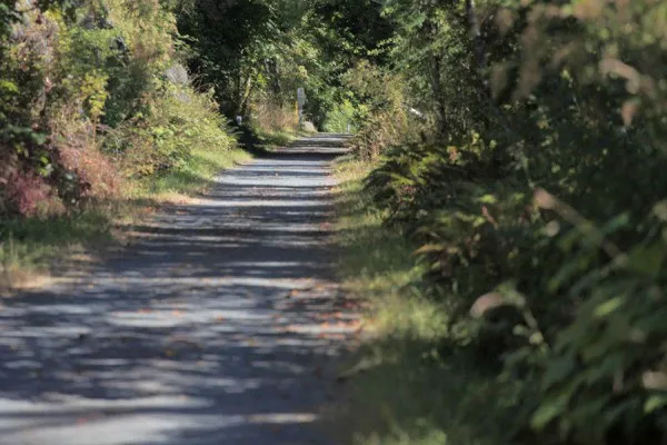 Photo of a narrow, tree-lined trail with track rails installed along the path
