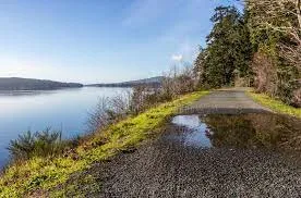 Photo of a trail next to a large body of water with track rails running through a puddle