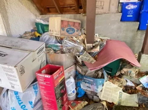 Barbecue unit heavily overgrown with vines and surrounded by trash