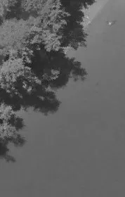 Aerial view of a heavily wooded area near water