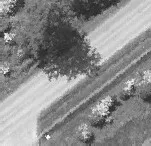 Aerial view of a road and nearby residential houses