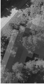 Aerial view of a wooded area bordering a paved road