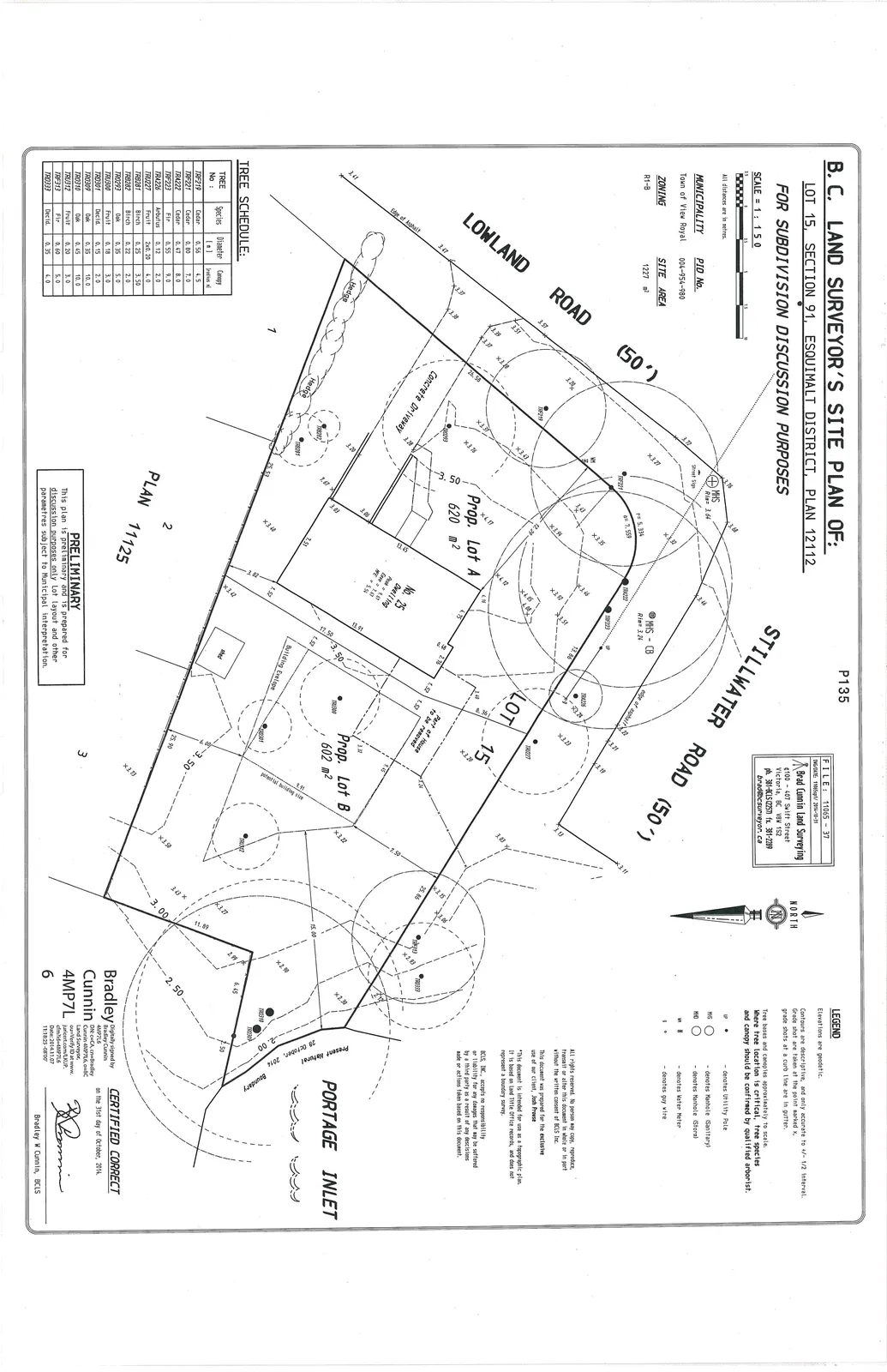 B.C. Land Surveyor's Site Plan showing proposed subdivision of Lot 15 without color-coded annotations