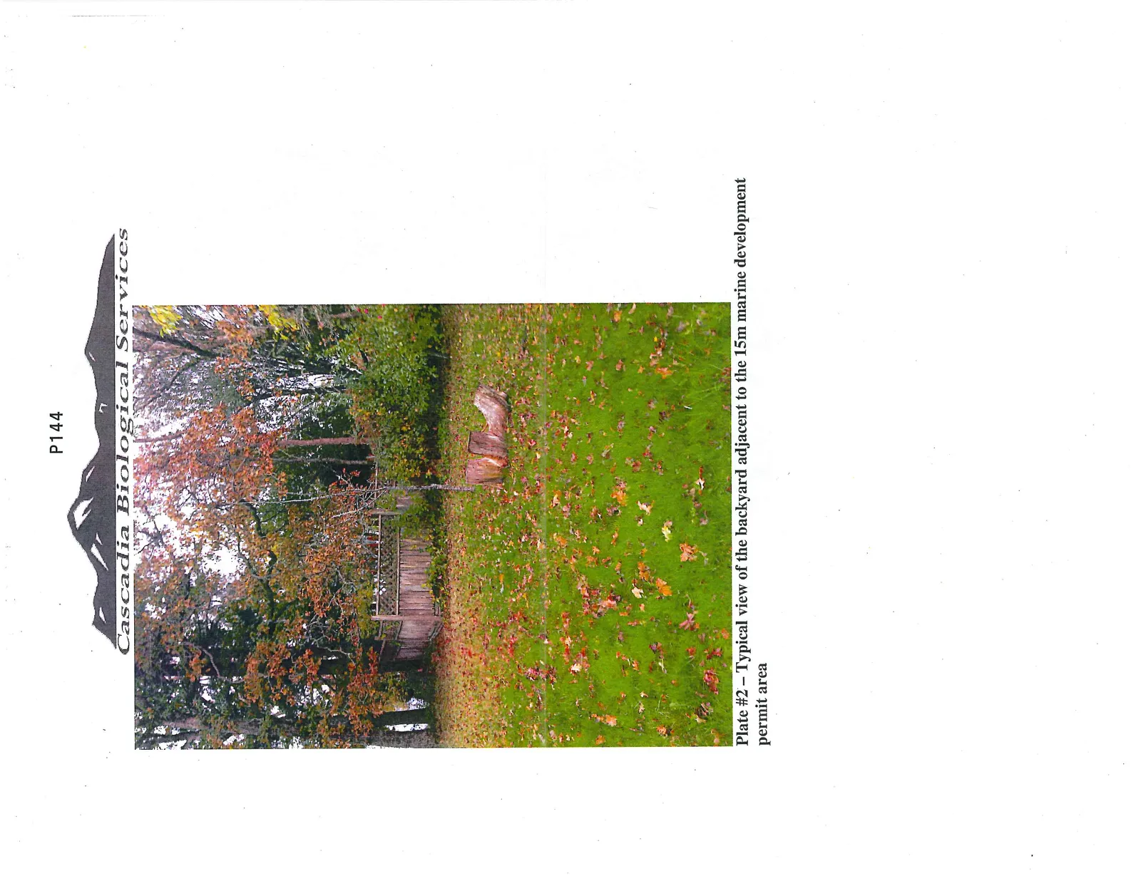 Plate #2 - Typical view of the backyard adjacent to the 15m marine development permit area