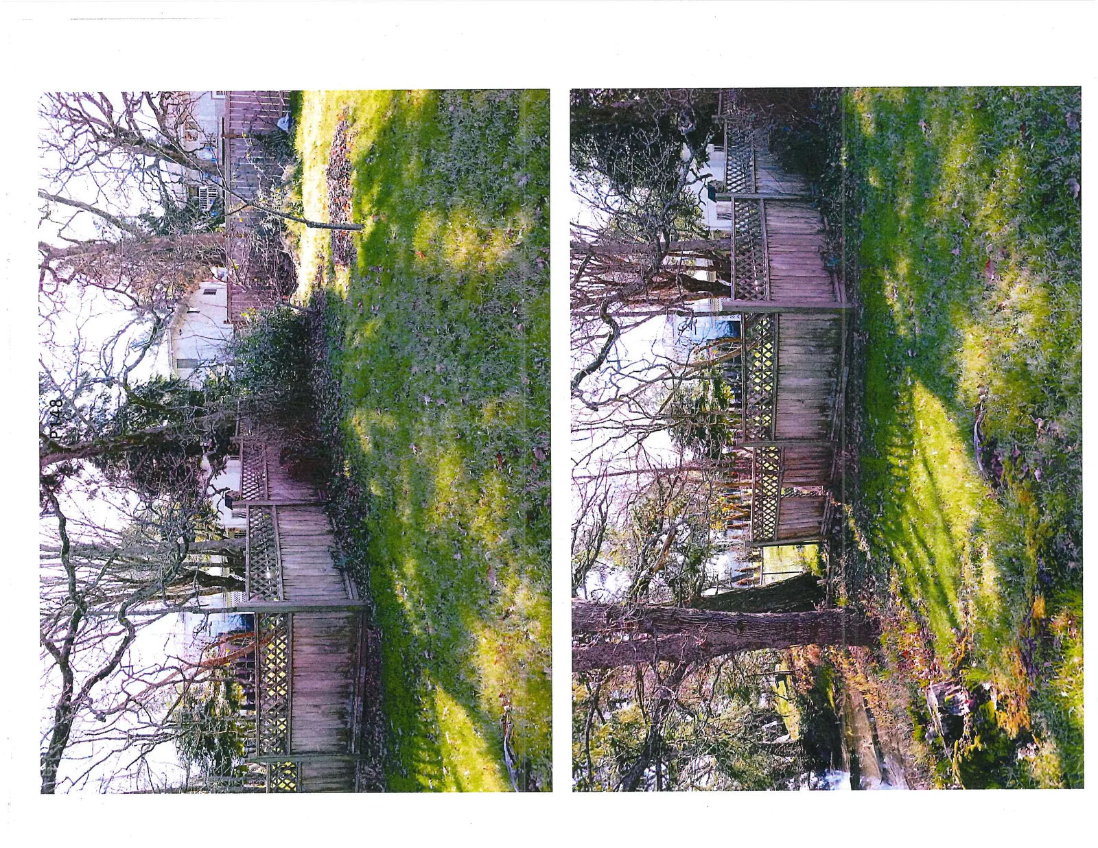 Upper photo - view of a backyard lawn featuring two tree stumps and garden area