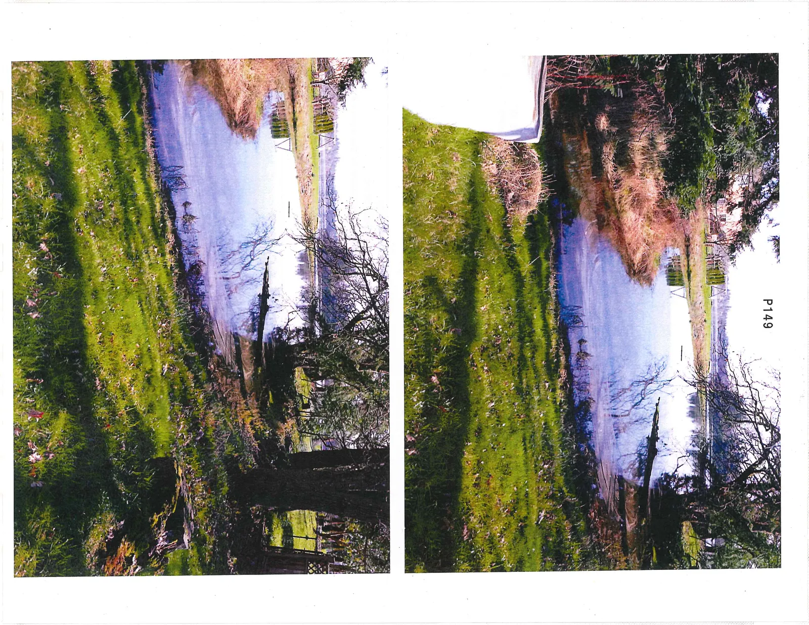 Lower photo - view of the backyard lawn looking towards the property boundary and neighboring houses